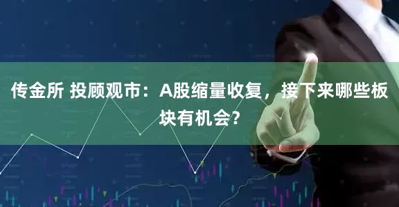 传金所 投顾观市：A股缩量收复，接下来哪些板块有机会？