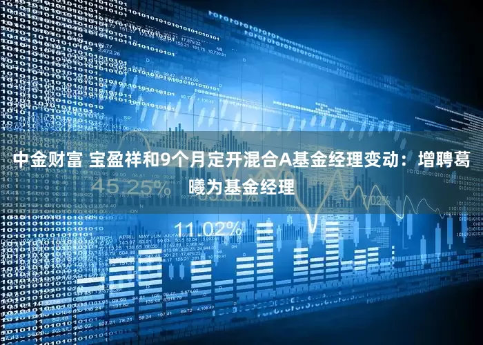 中金财富 宝盈祥和9个月定开混合A基金经理变动：增聘葛曦为基金经理