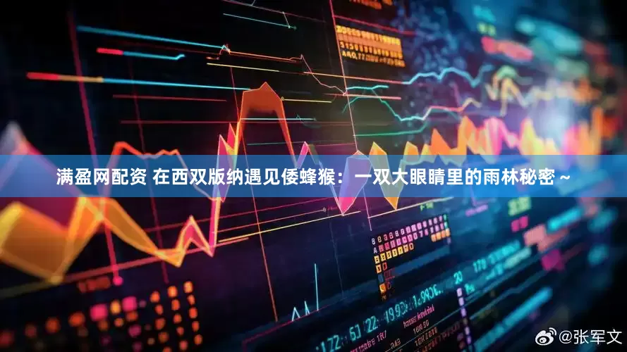 满盈网配资 在西双版纳遇见倭蜂猴:一双大眼睛里的雨林秘密~