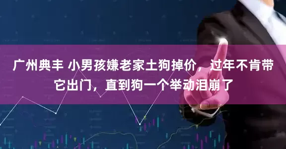 广州典丰 小男孩嫌老家土狗掉价，过年不肯带它出门，直到狗一个举动泪崩了