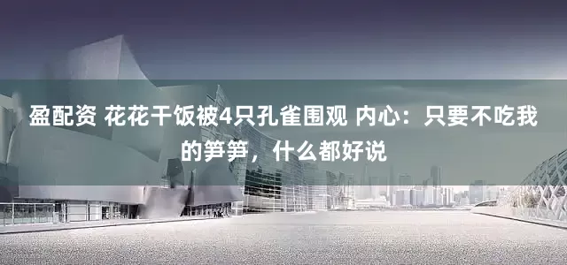 盈配资 花花干饭被4只孔雀围观 内心：只要不吃我的笋笋，什么都好说